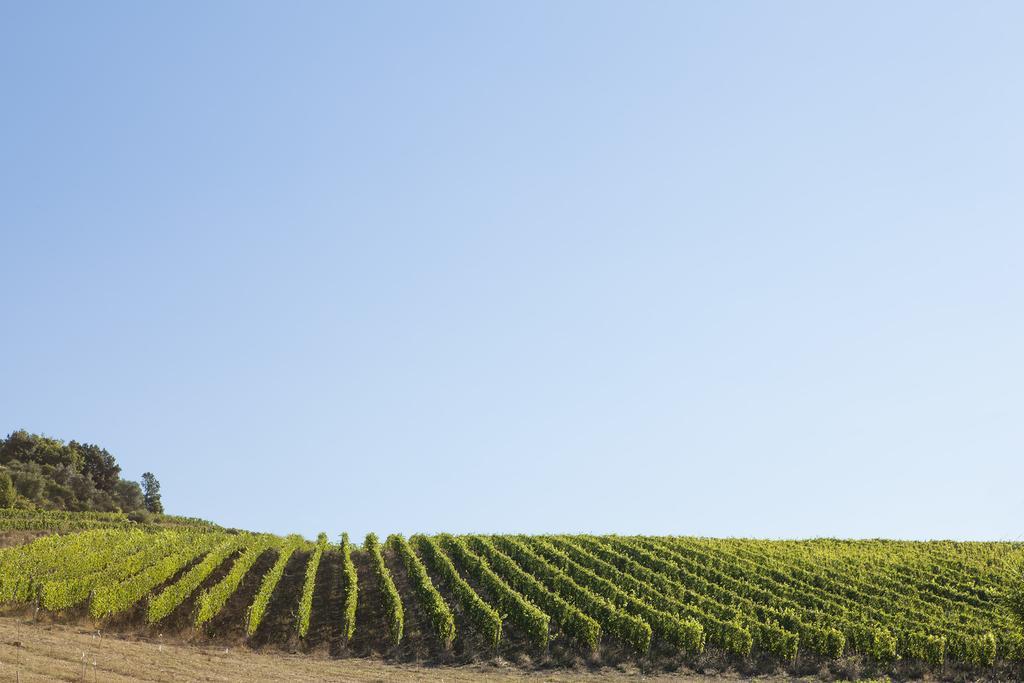 Quercia Al Poggio Villa Barberino Val d'Elsa Bagian luar foto